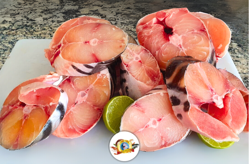 Imagenes PAGINA web PLAZA - 1