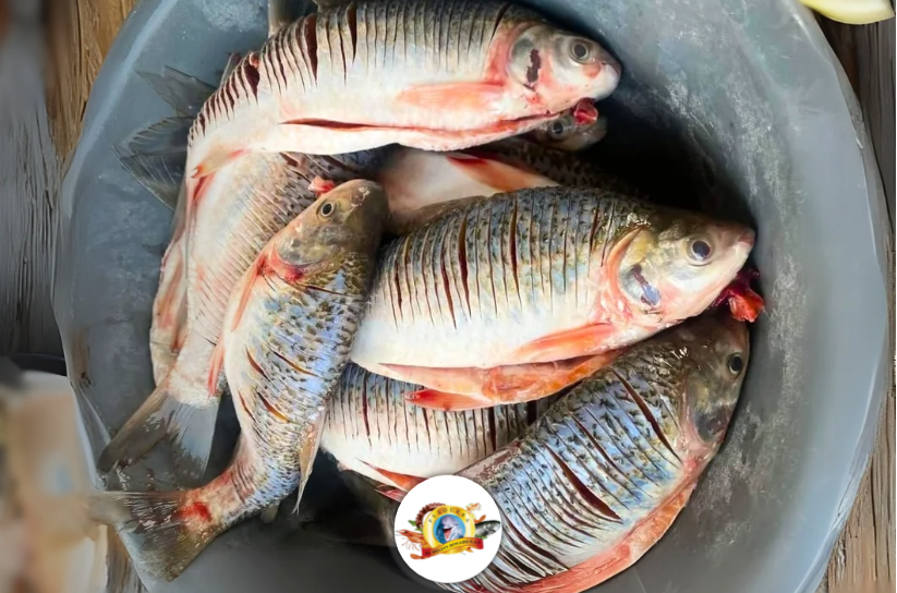 Imagenes PAGINA web PLAZA - 3